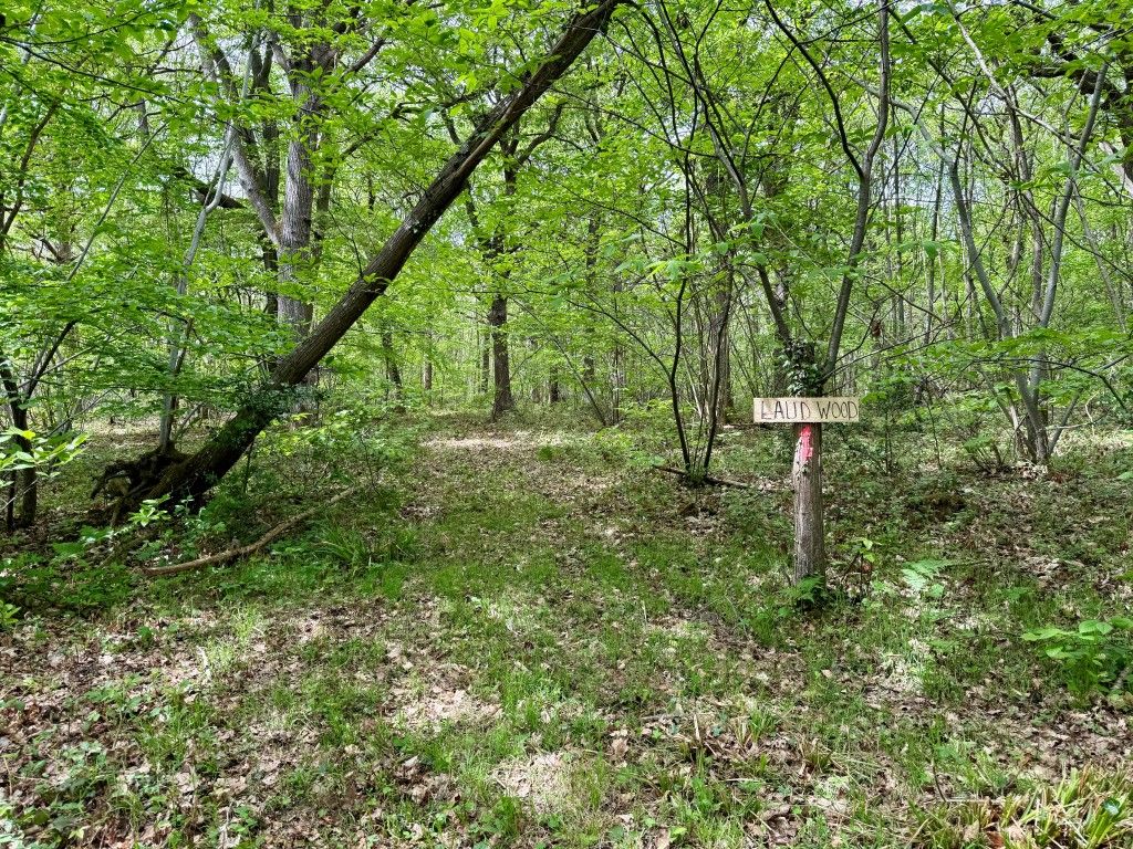 Land for saleLaud Wood, Dunkirk, Faversham, Kent ME13