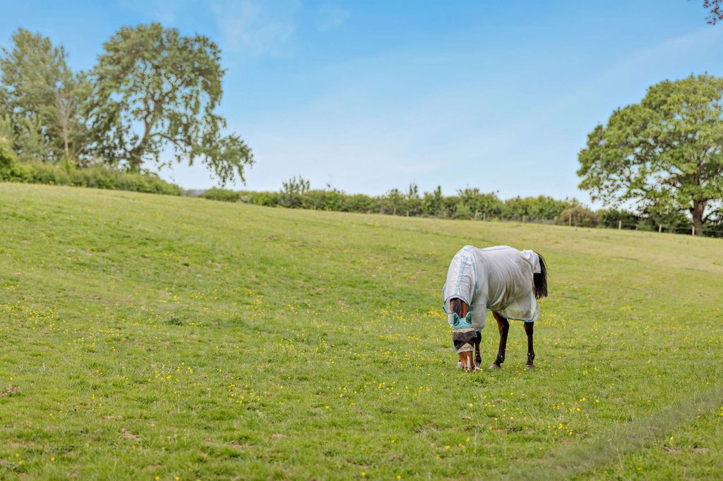 Additional image 37 of 4 bed equestrian for saleFryern Road, Storrington, Pulborough, West Sussex RH20
