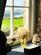 Additional image 37 of Whitesands, Haverfordwest SA62