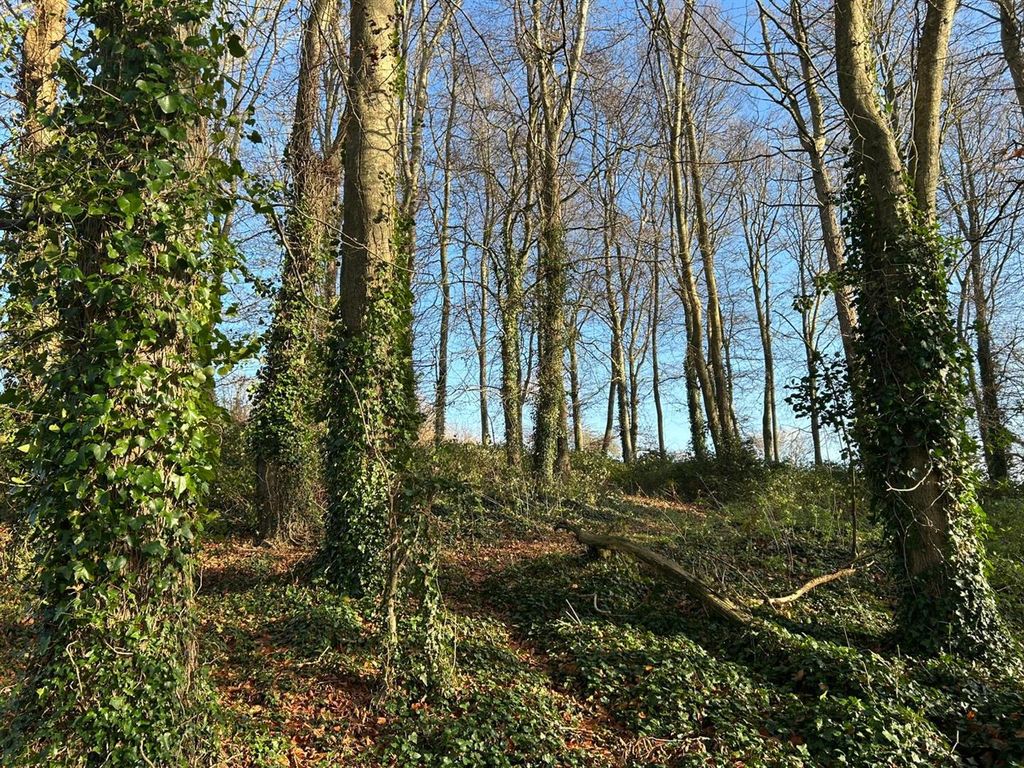Additional image 6 of Land for saleNether Compton, Sherborne DT9