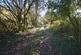 Additional image 10 of Llanfihangel-ar Arth, Carms SA39