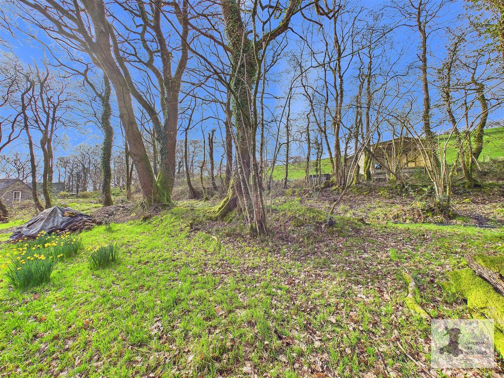 Additional image 47 of 3 bed farm for saleBabel, Llandovery SA20