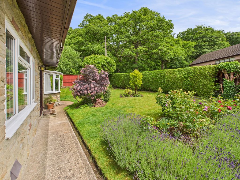 Additional image 16 of 3 bed detached house for saleAlbion Road, Cinderford GL14