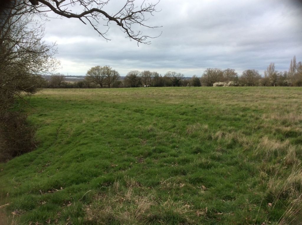 Additional image 8 of Land for saleNew Lodge Chase, Little Baddow, Chelmsford CM3