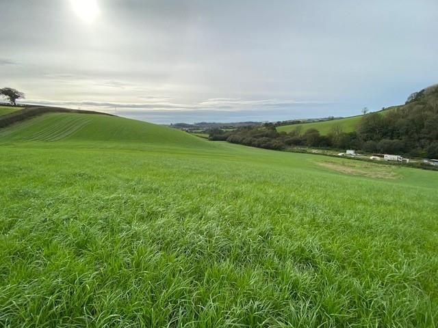 Additional image 5 of Land for salePentremeurig Road, Carmarthen SA31