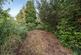 Additional image 12 of Bishop Butt Close, Orpington