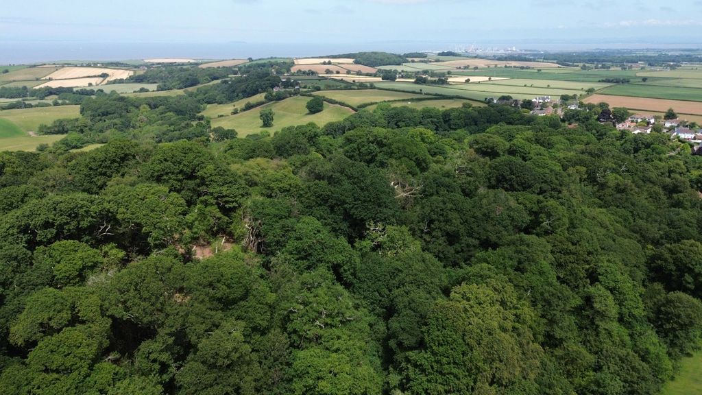 Additional image 10 of Land for saleHolford, Bridgwater, Somerset TA5