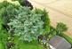 Additional image 44 of Nursery Lane, Holwell, Melton Mowbray