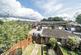 Additional image 15 of Wellbrook Road, Orpington