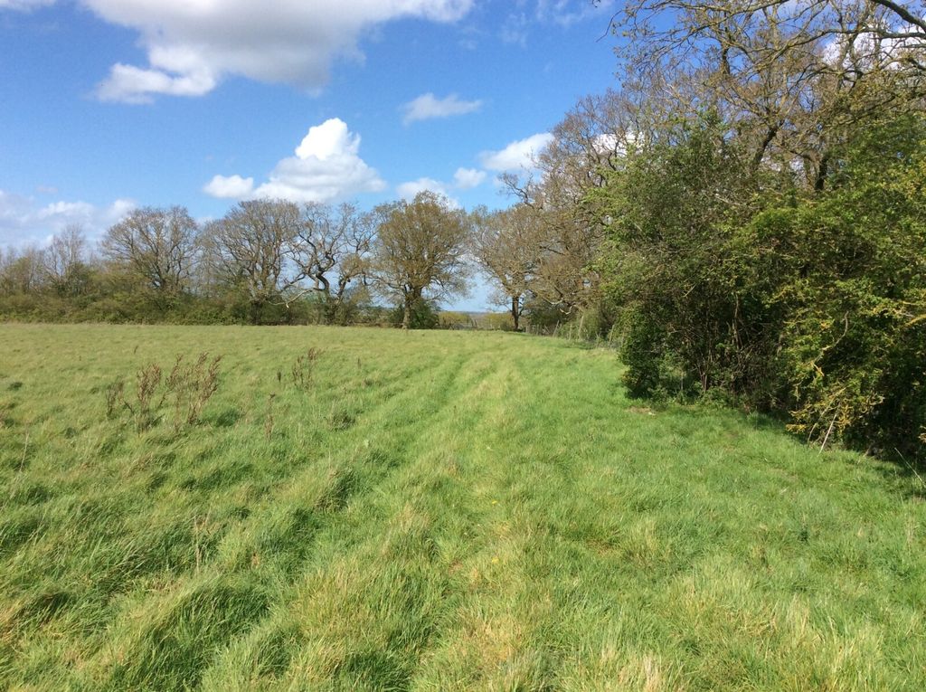 Additional image 2 of Land for saleNew Lodge Chase, Little Baddow, Chelmsford CM3