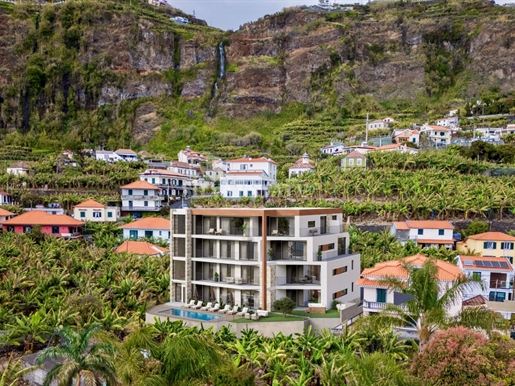Additional image 6 of Ponta Do Sol (Ponta do Sol)