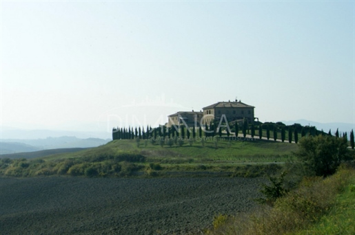 Saline (Pisa) photo 2