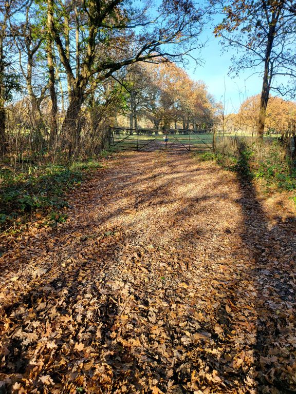 Additional image 3 of Land for saleHare Lane, Lingfield RH7