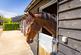 Additional image 23 of Knightons Lane, Dunsfold, Godalming, Surrey, GU8