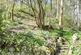 Additional image 7 of Aberteirw Terrace, Pandy, Llangollen