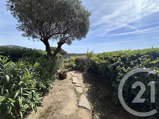 Additional image 11 of Grimaud (Var)