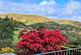 Additional image 2 of Hazler Orchard, Church Stretton SY6