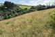 Additional image 27 of Goosewell, Berrynarbor, Ilfracombe, Devon, EX34