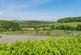 Additional image 24 of Dartington, Totnes