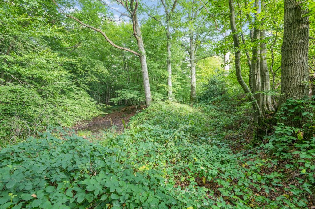 Additional image 5 of Land for saleHinksden Road, Hawkhurst, Cranbrook, Kent TN18