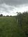 Additional image 4 of Pill Road, Mark, Highbridge, Somerset, TA9