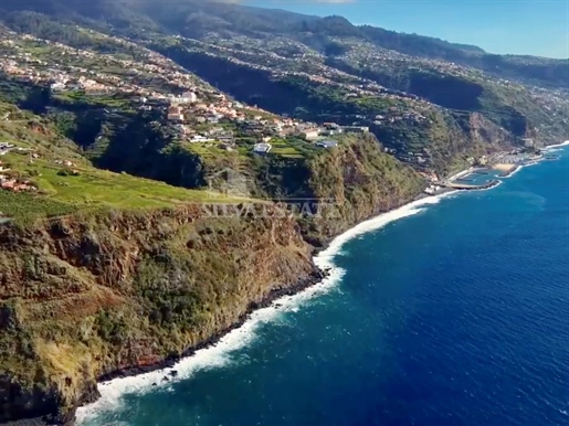 Additional image 12 of Estreito Da Calheta (Calheta (Madeira))