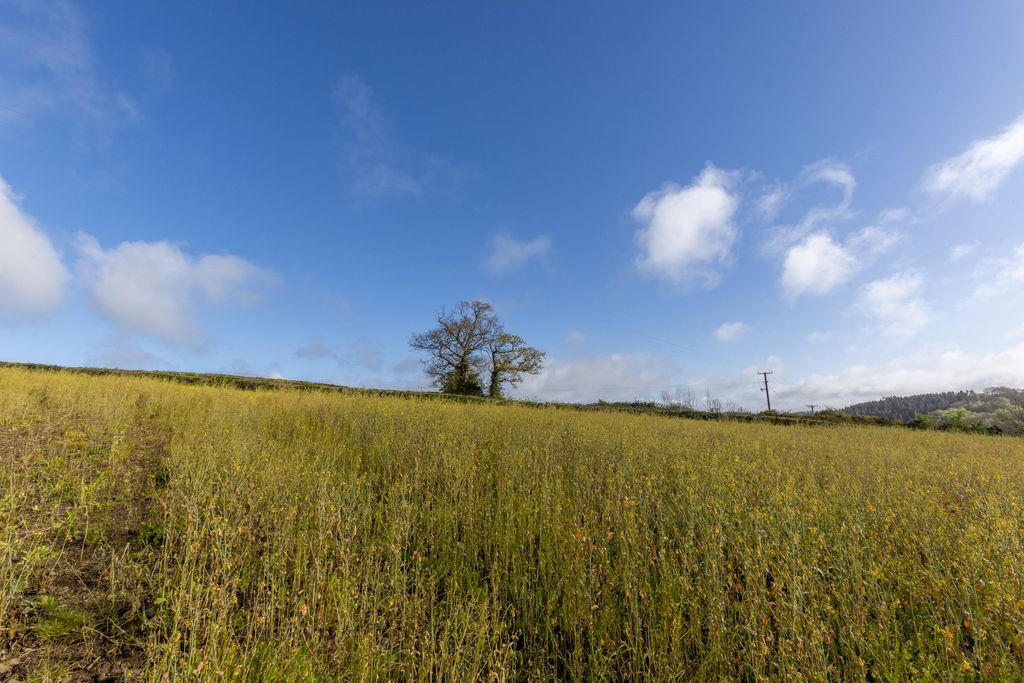 Additional image 4 of Land for saleTedburn St Mary, Exeter EX6