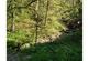 Additional image 20 of The Dingle, Knighton, LD7