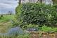 Additional image 5 of Rushbury SY6