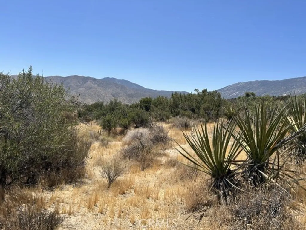 7 Carrizo Road, Mountain Center, CA 92561