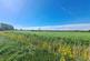 Additional image 2 of Biddisham Lane, Biddisham, Axbridge, Somerset, BS26
