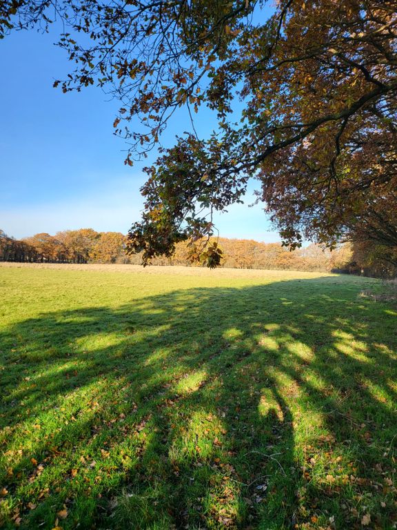 Additional image 2 of Land for saleHare Lane, Lingfield RH7