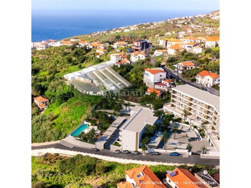 Calheta (Calheta (Madeira))