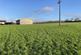 Additional image 8 of Quarrylands Lane, Badgworth, Somerset, BS26