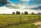 Meadowcroft, Langthorne, Bedale photo 3