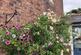 Additional image 26 of Vine Cottage, 81 Shrewsbury Road, Church Stretton, SY6 6EY
