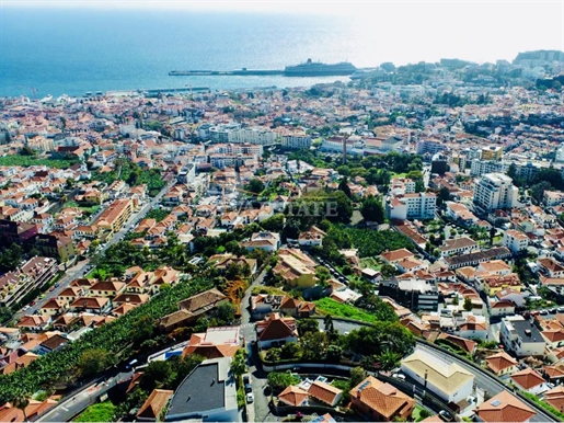 Additional image 8 of Imaculado Coração De Maria (Funchal)