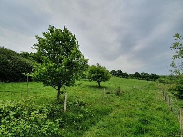 Additional image 3 of Land for saleBeech House Lane, Robertsbridge TN32