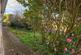 Additional image 25 of Lower Harpers Road, Abersychan, NP4