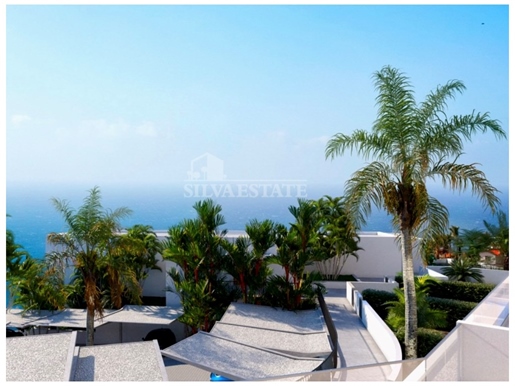 Additional image 12 of Calheta (Calheta (Madeira))