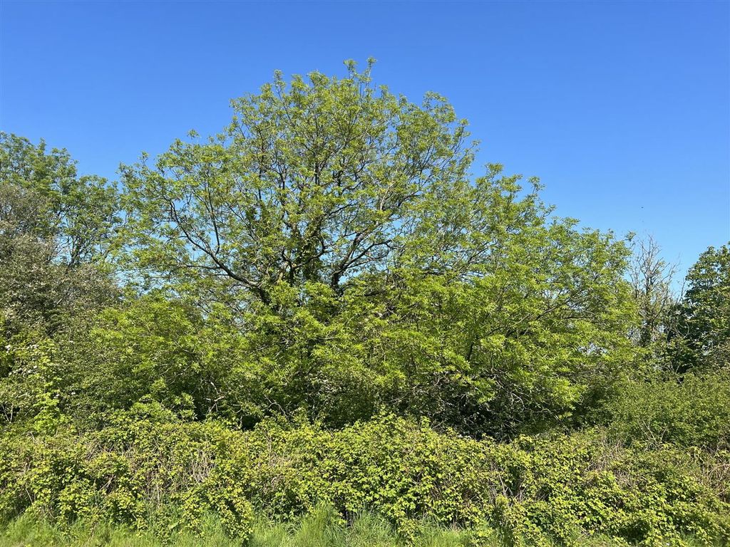 Additional image 3 of Land for saleLogin, Whitland SA34