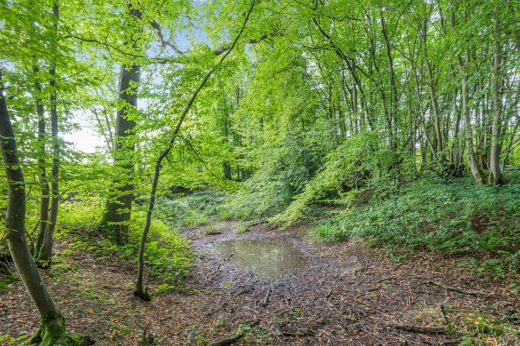 Additional image 6 of Land for saleHinksden Road, Hawkhurst, Cranbrook, Kent TN18