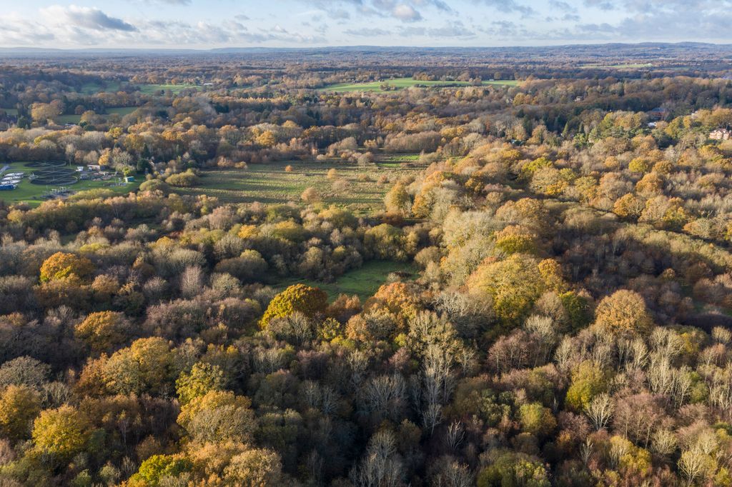 Additional image 4 of Land for saleHackenden Lane, East Grinstead RH19