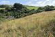 Additional image 26 of Goosewell, Berrynarbor, Ilfracombe, Devon, EX34