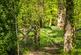 Additional image 40 of Knightons Lane, Dunsfold, Godalming, Surrey, GU8