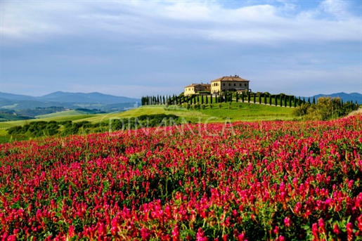 Saline (Pisa) photo 3