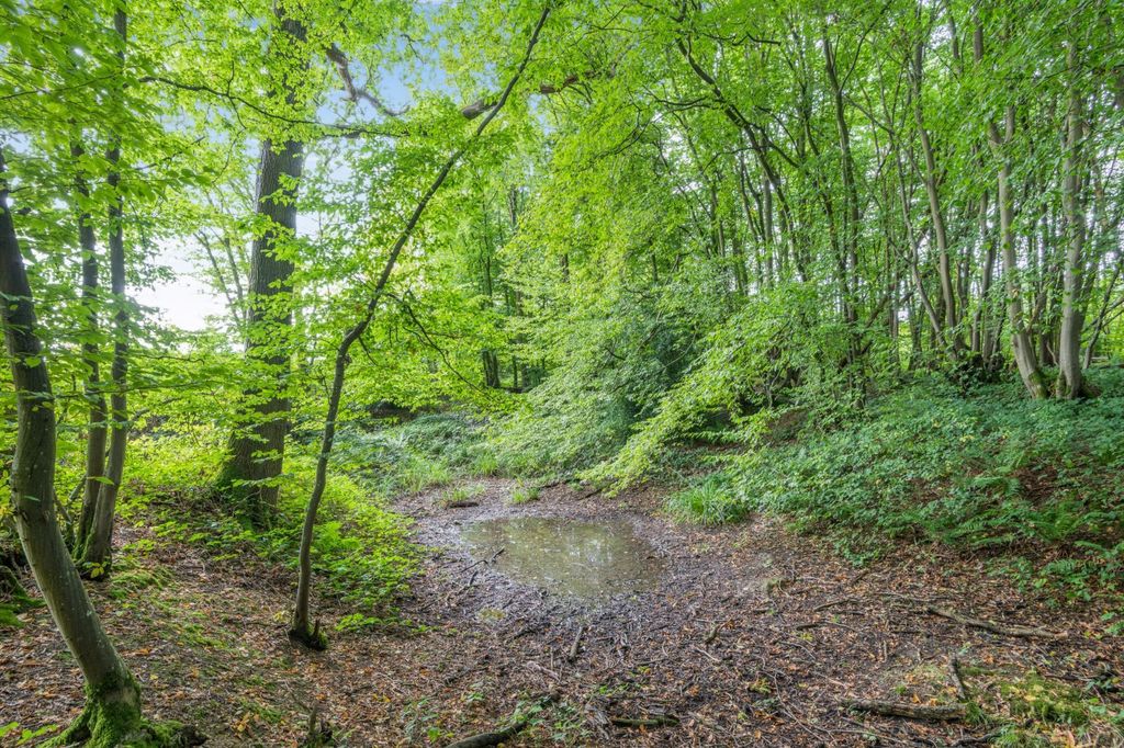Additional image 6 of Land for saleHinksden Road, Hawkhurst, Cranbrook, Kent TN18