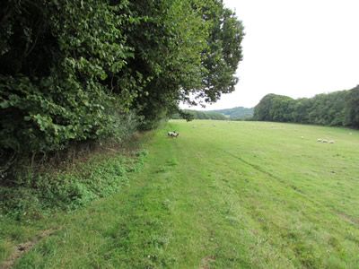 Land for saleDale Hill, Wadhurst Hurst Green TN5 photo 3