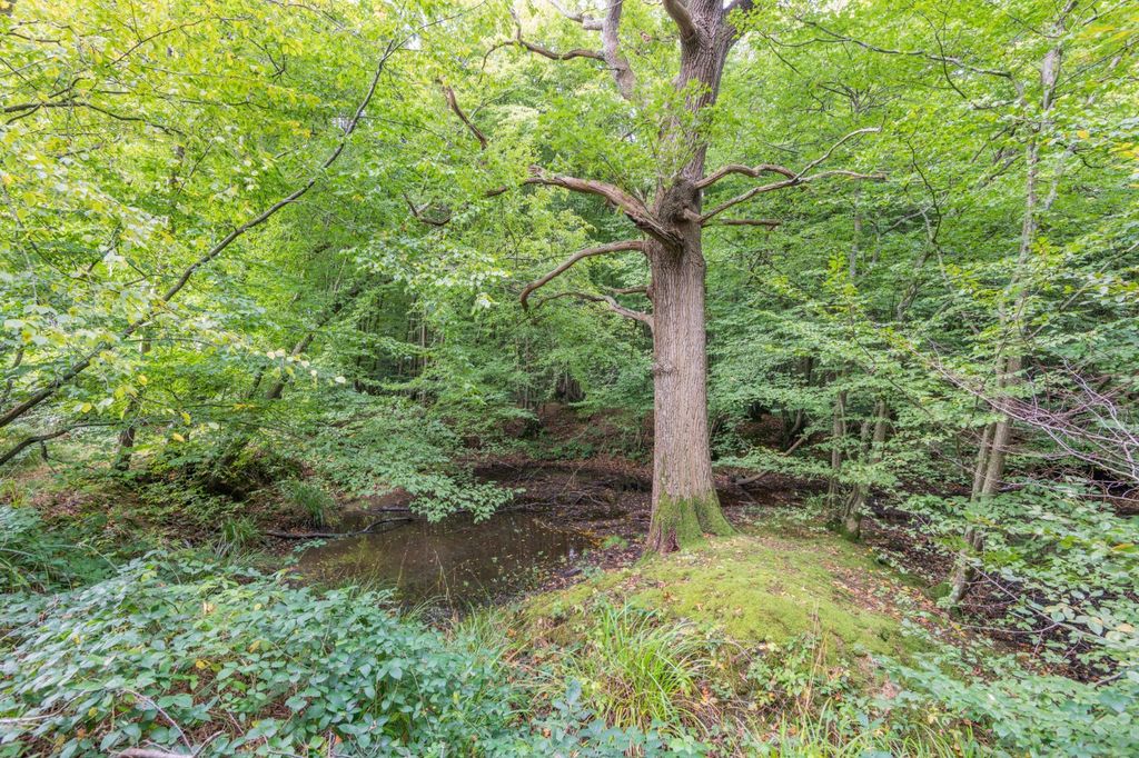Additional image 7 of Land for saleHinksden Road, Hawkhurst, Cranbrook, Kent TN18