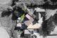 Additional image 28 of Oaktree Close, Doddington PE15